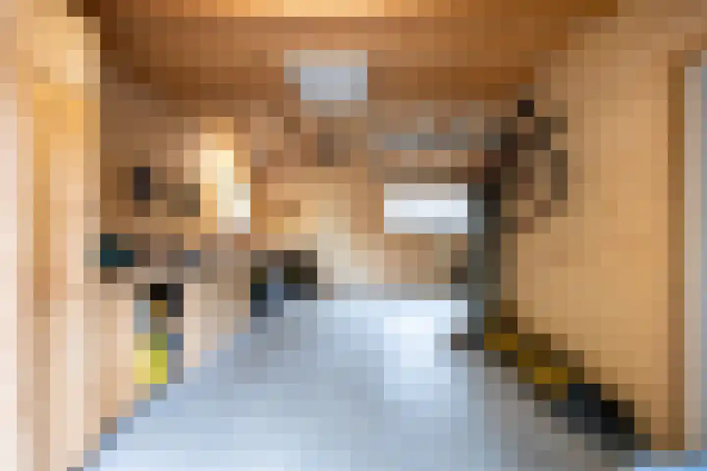 Molenlaan 1 Siddeburen thumbnail 70