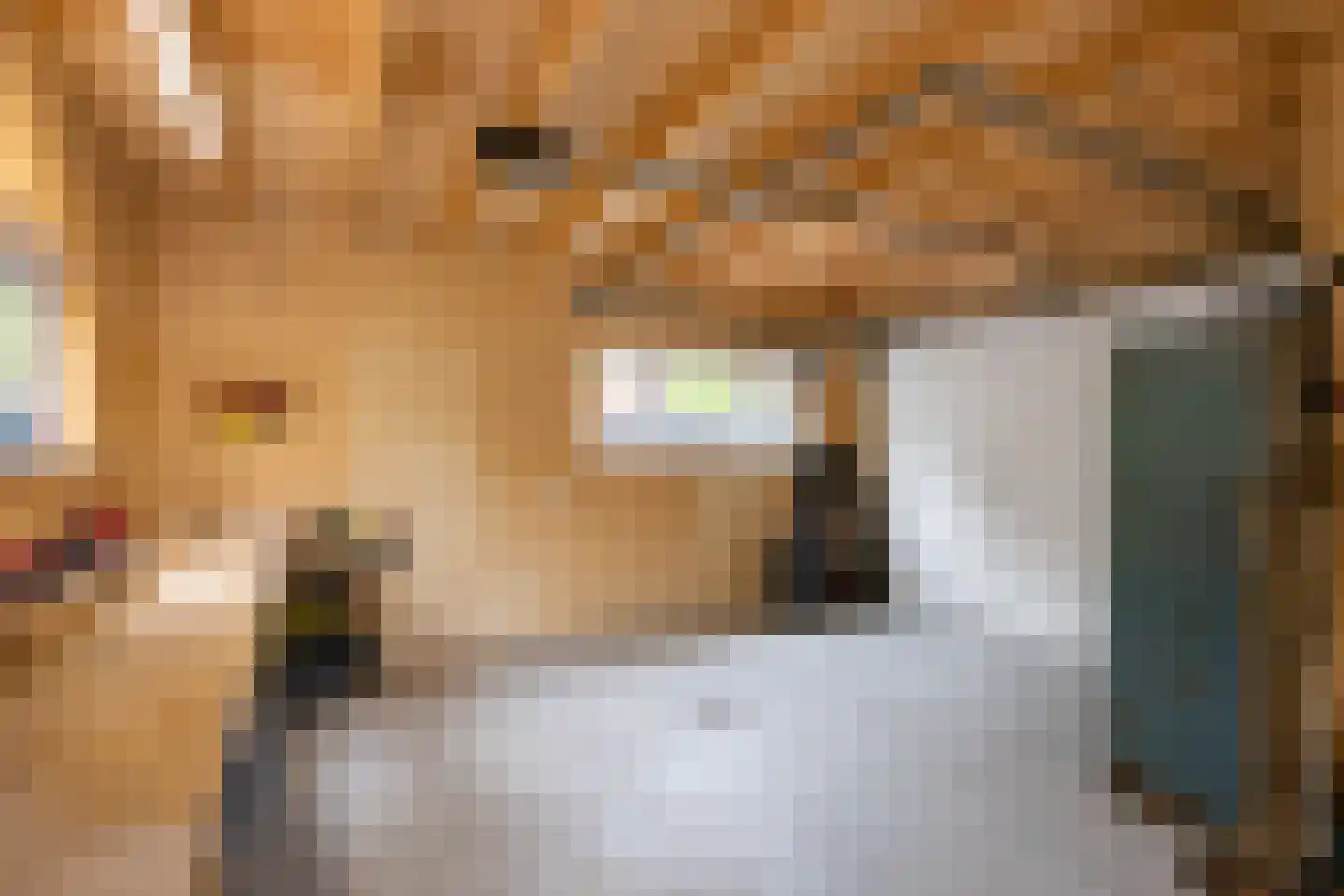 Molenlaan 1 Siddeburen thumbnail 71