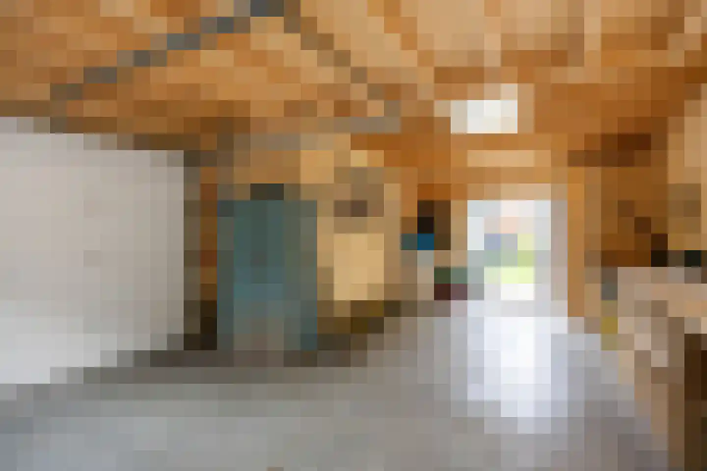 Molenlaan 1 Siddeburen thumbnail 72
