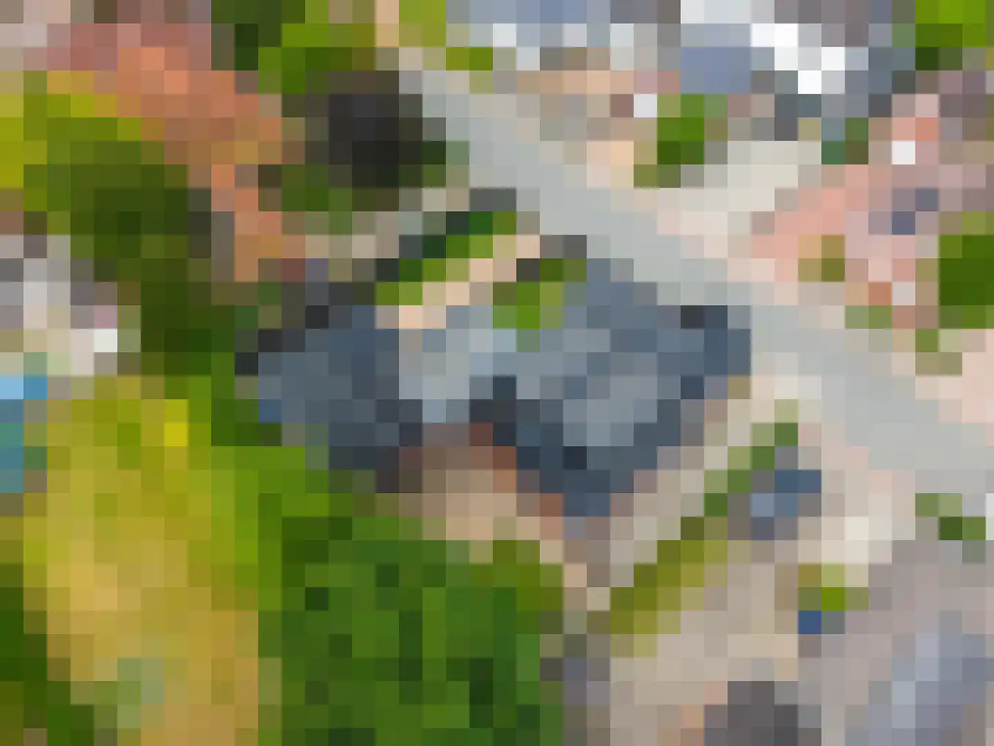 Molenlaan 1 Siddeburen thumbnail 73