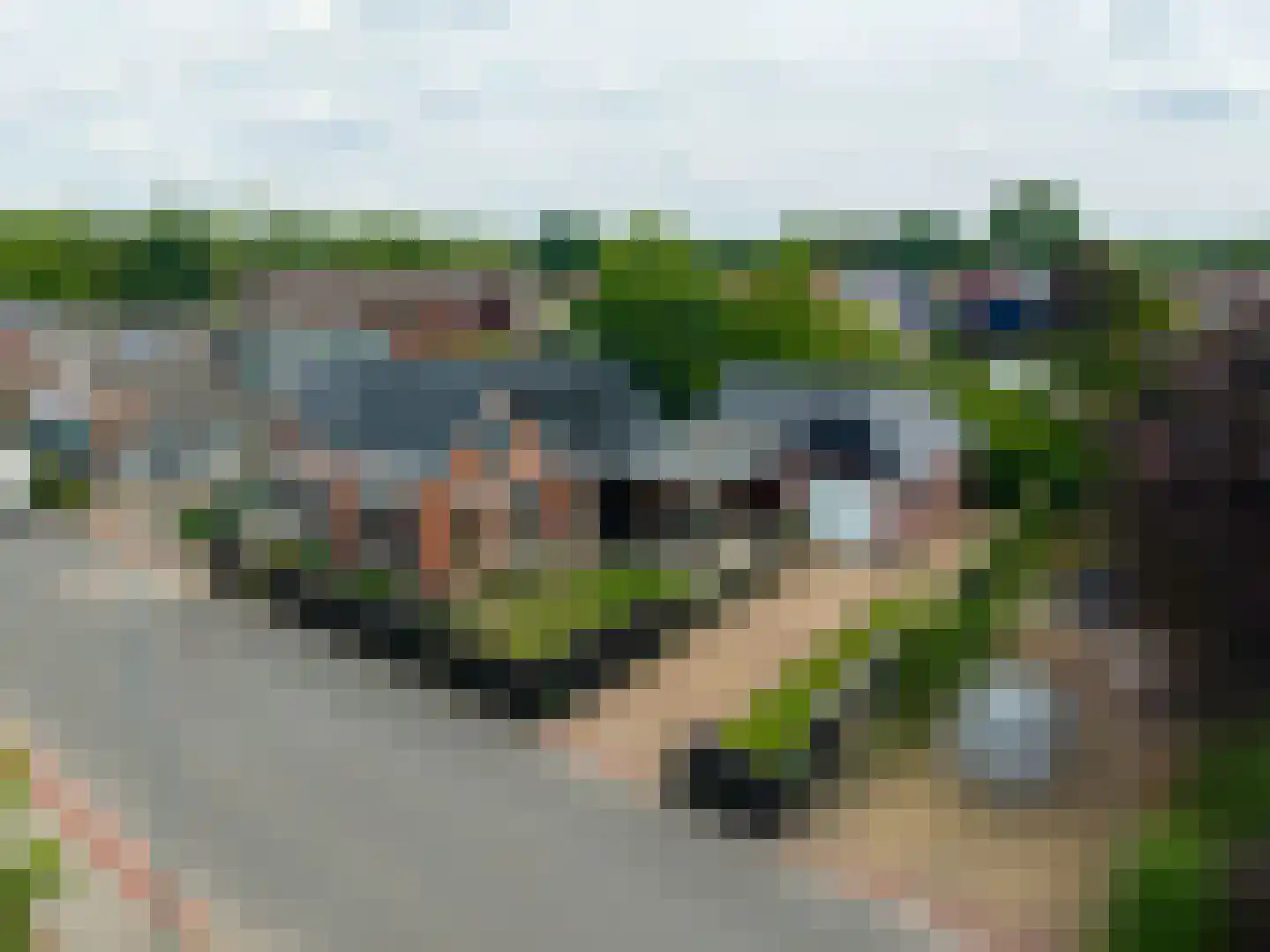 Molenlaan 1 Siddeburen thumbnail 75