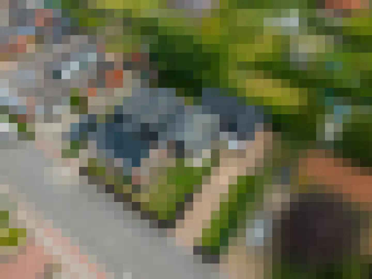 Molenlaan 1 Siddeburen thumbnail 76
