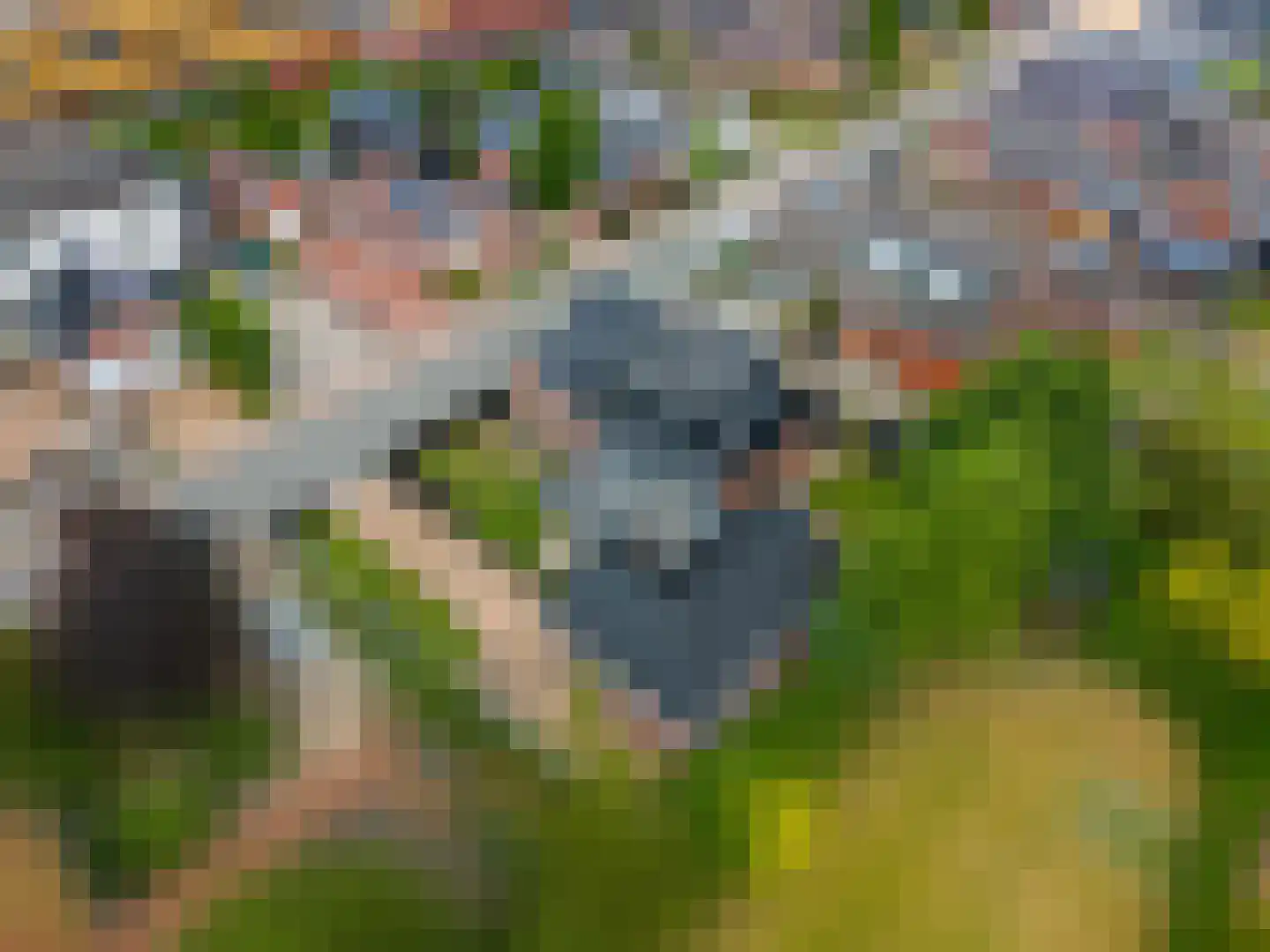 Molenlaan 1 Siddeburen thumbnail 77