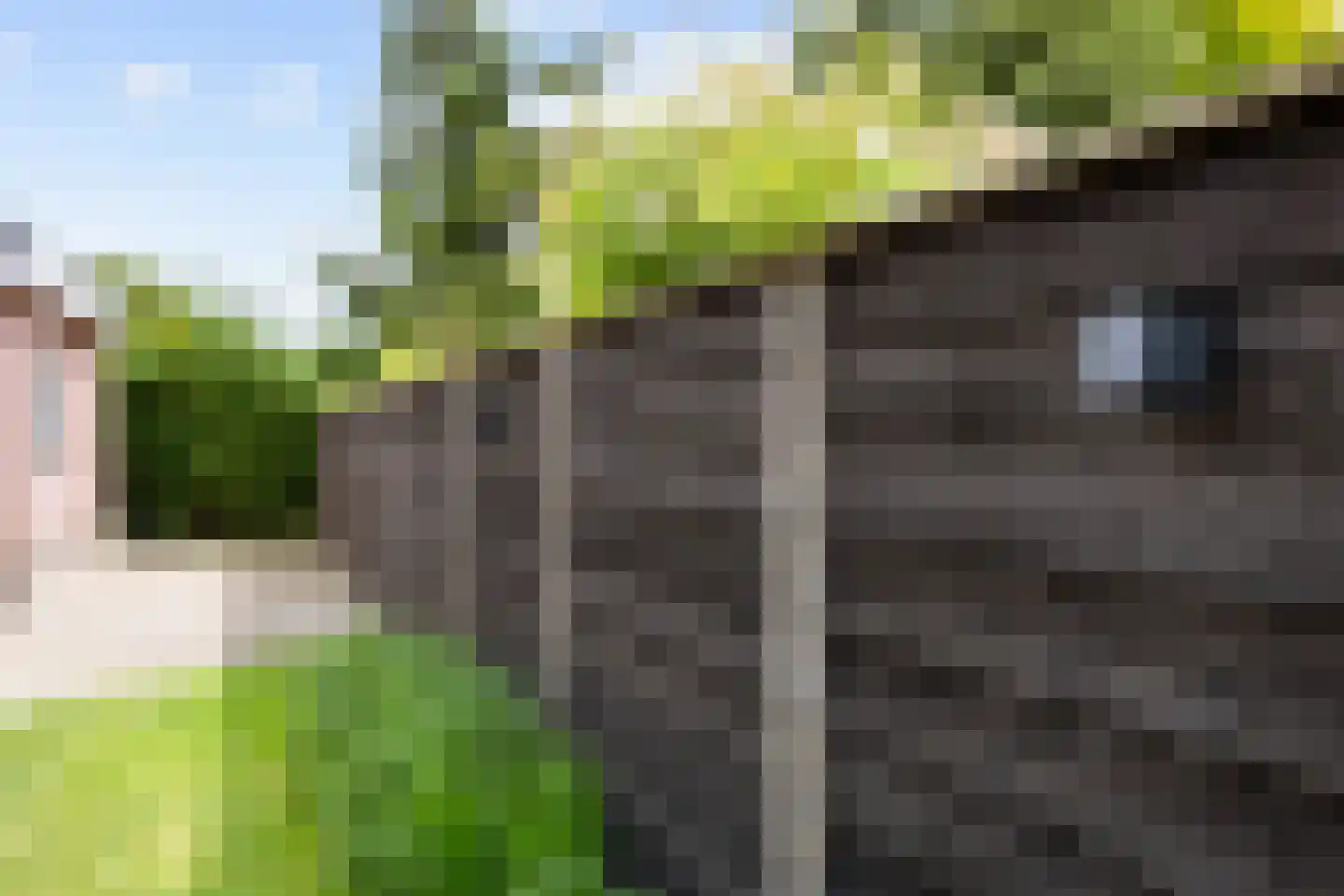 Molenlaan 1 Siddeburen thumbnail 9