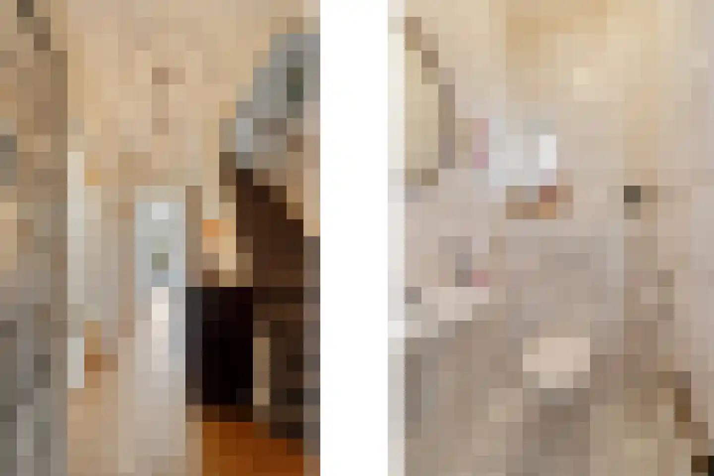 Molenlaan 105 Rotterdam thumbnail 14