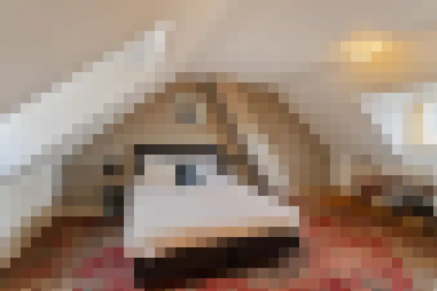 Molenlaan 105 Rotterdam thumbnail 25