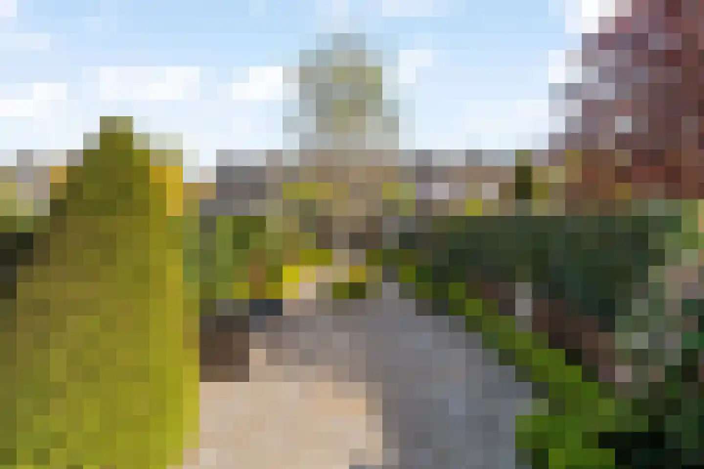 Molenlaan 105 Rotterdam thumbnail 32