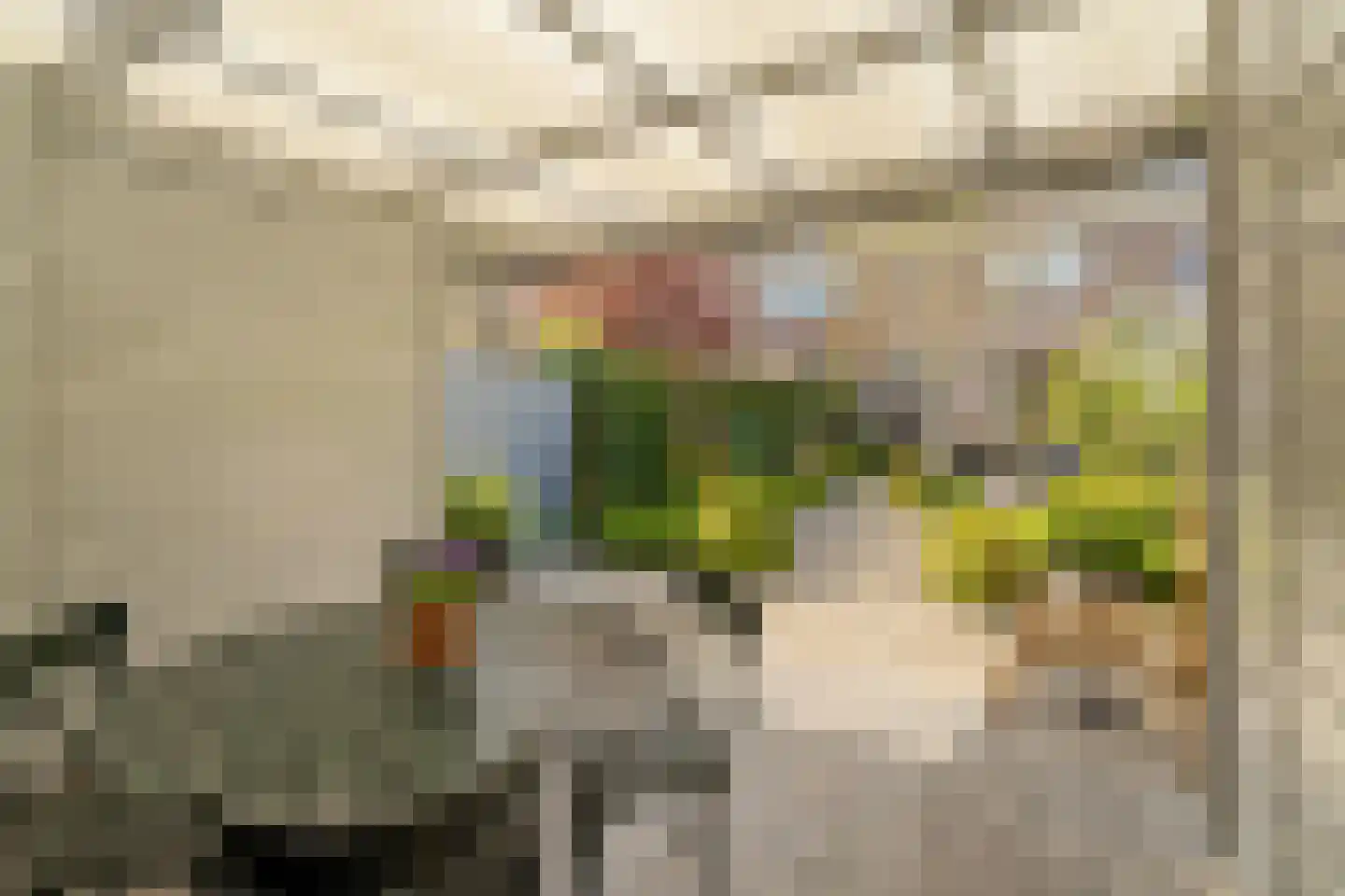 Molenlaan 105 Rotterdam thumbnail 33