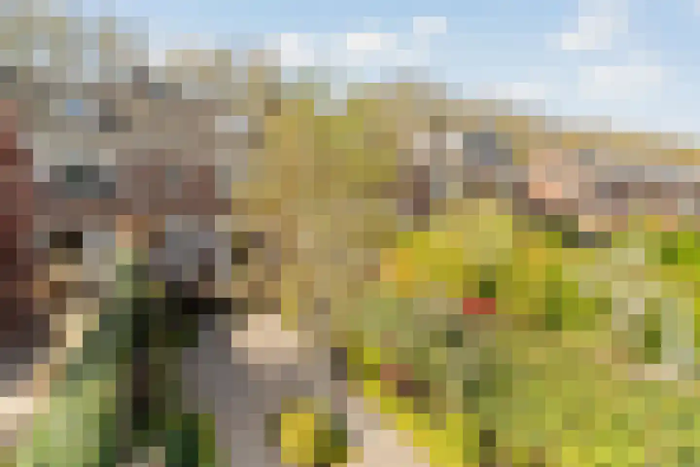 Molenlaan 105 Rotterdam thumbnail 34