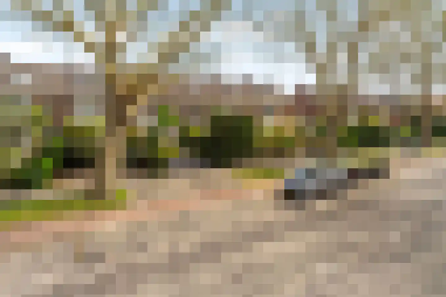 Molenlaan 105 Rotterdam thumbnail 35