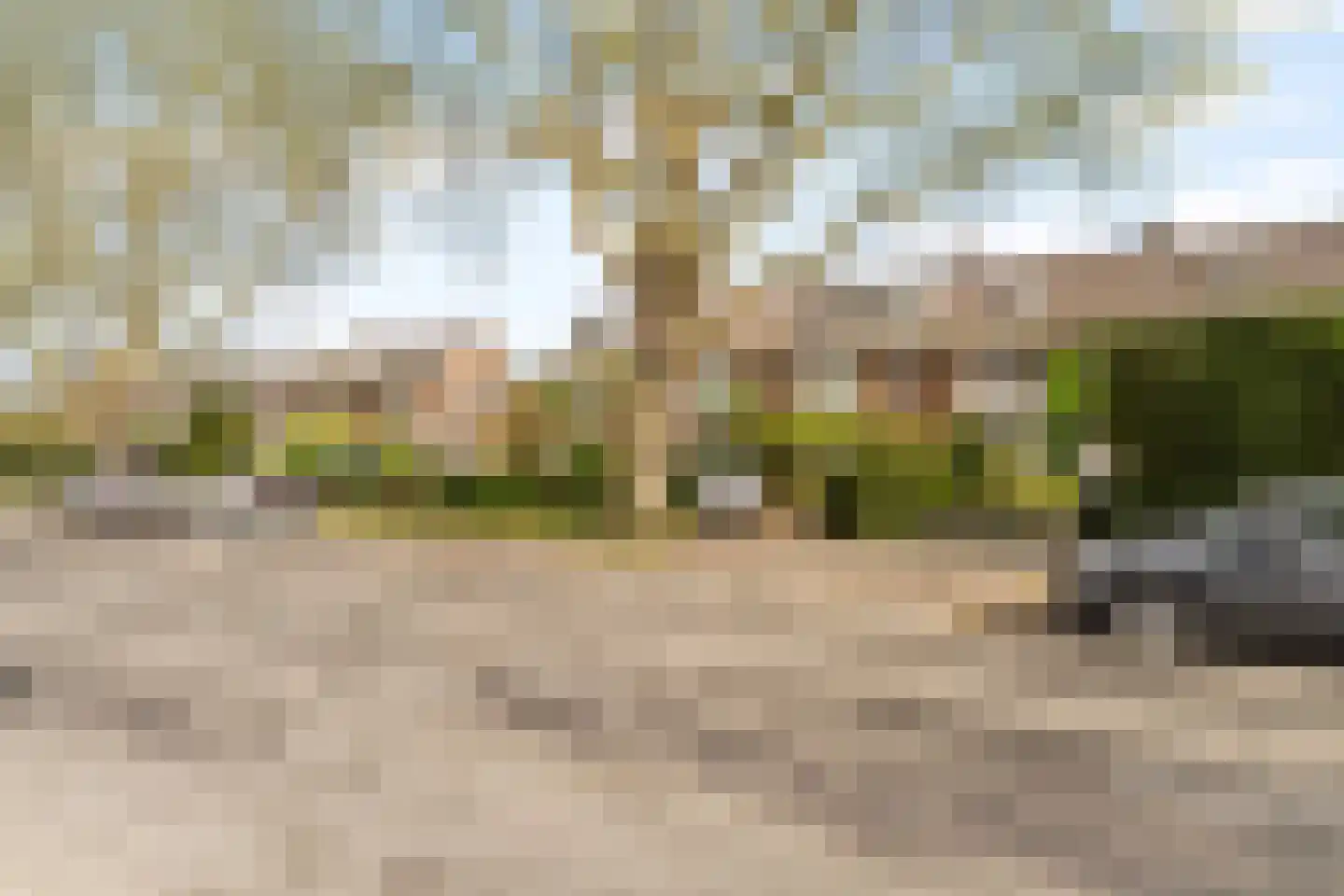 Molenlaan 105 Rotterdam thumbnail 36