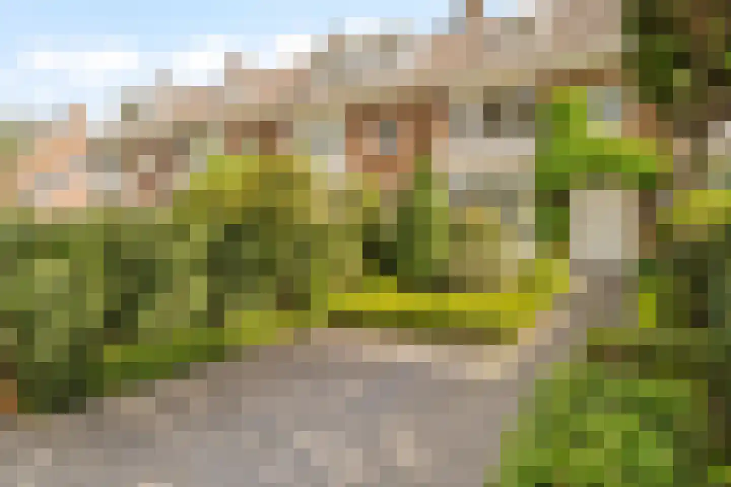 Molenlaan 105 Rotterdam thumbnail 4