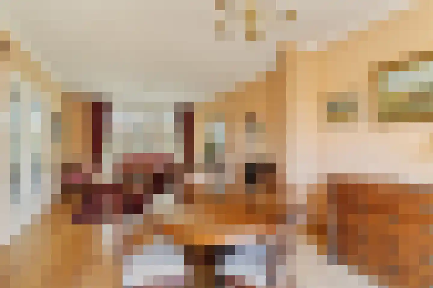 Molenlaan 105 Rotterdam thumbnail 9