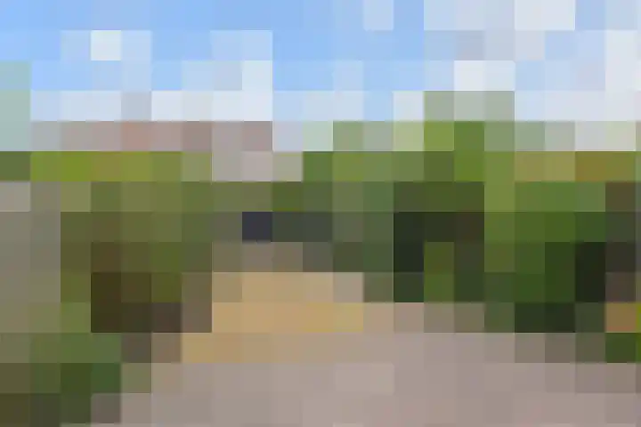 Molenlaan 108 Rotterdam thumbnail 16