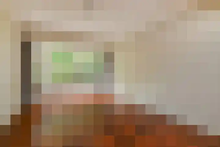 Molenlaan 108 Rotterdam thumbnail 17
