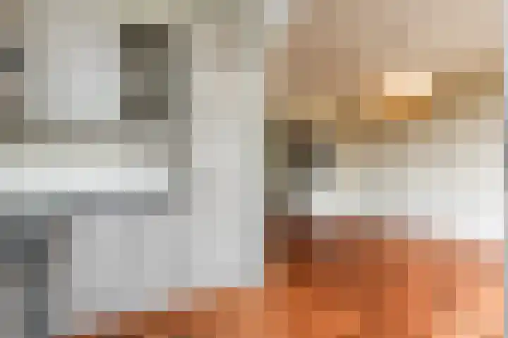 Molenlaan 108 Rotterdam thumbnail 21