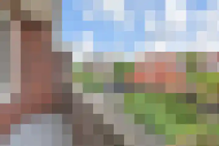 Molenlaan 108 Rotterdam thumbnail 27