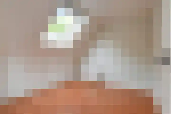 Molenlaan 108 Rotterdam thumbnail 41