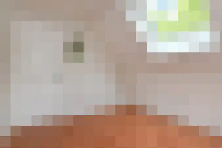 Molenlaan 108 Rotterdam thumbnail 42