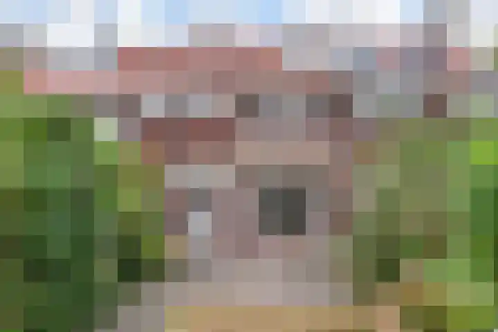 Molenlaan 108 Rotterdam thumbnail 45