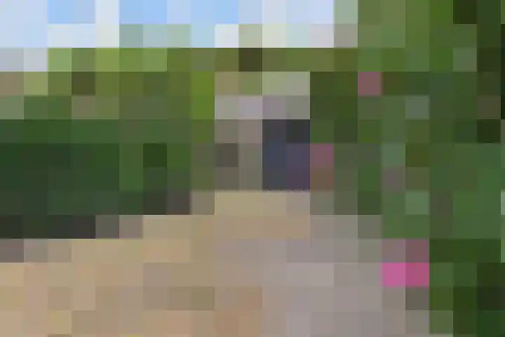 Molenlaan 108 Rotterdam thumbnail 46