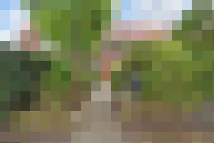Molenlaan 108 Rotterdam thumbnail 49