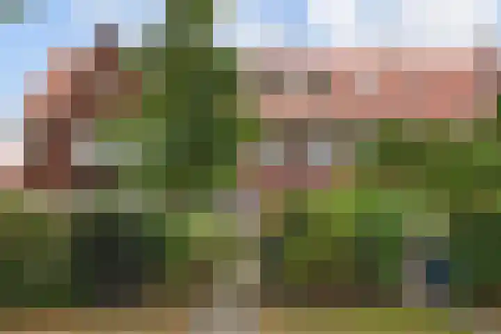 Molenlaan 108 Rotterdam thumbnail 50