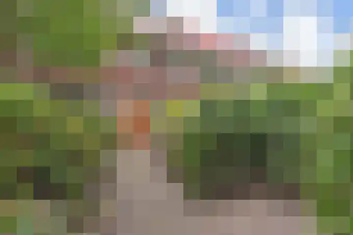 Molenlaan 108 Rotterdam thumbnail 7