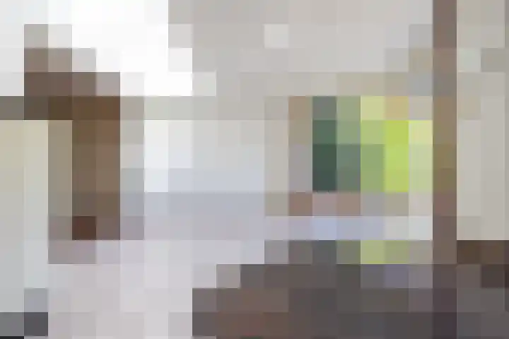 Molenlaan 109 Rotterdam thumbnail 11
