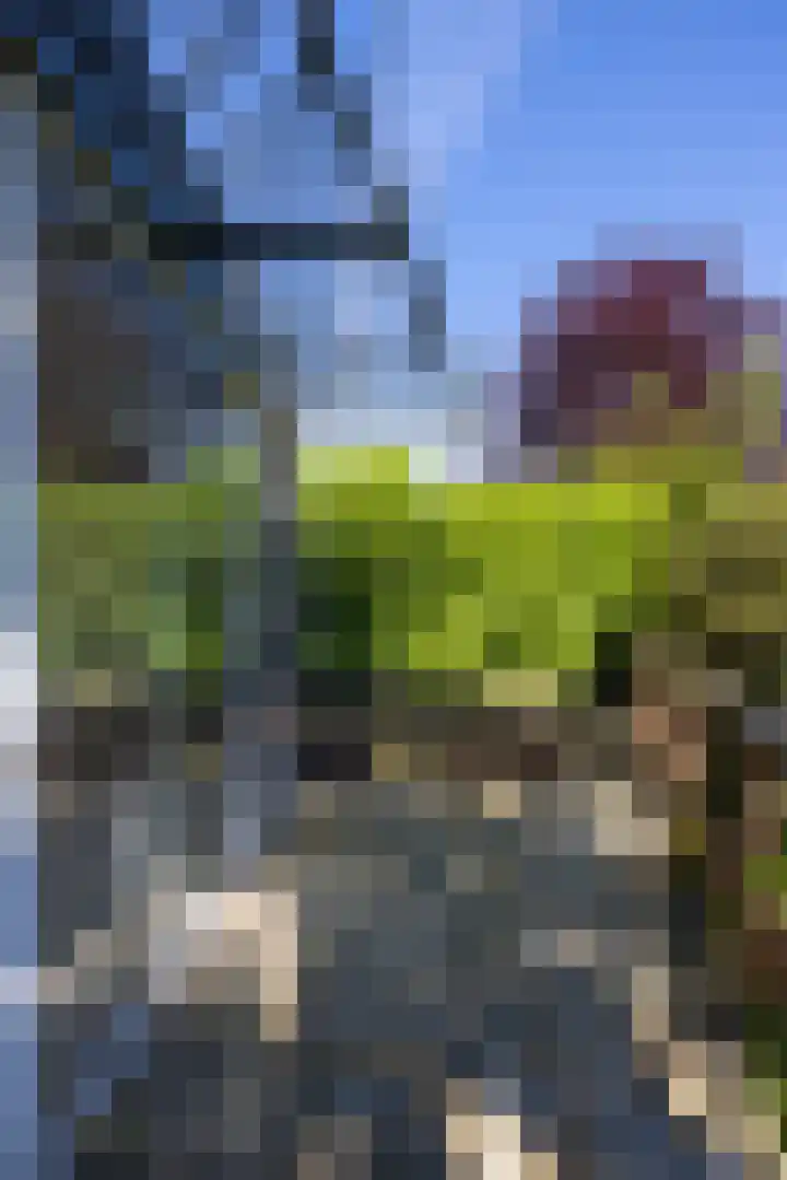Molenlaan 109 Rotterdam thumbnail 12