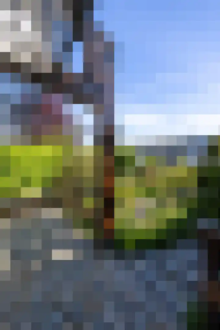 Molenlaan 109 Rotterdam thumbnail 13