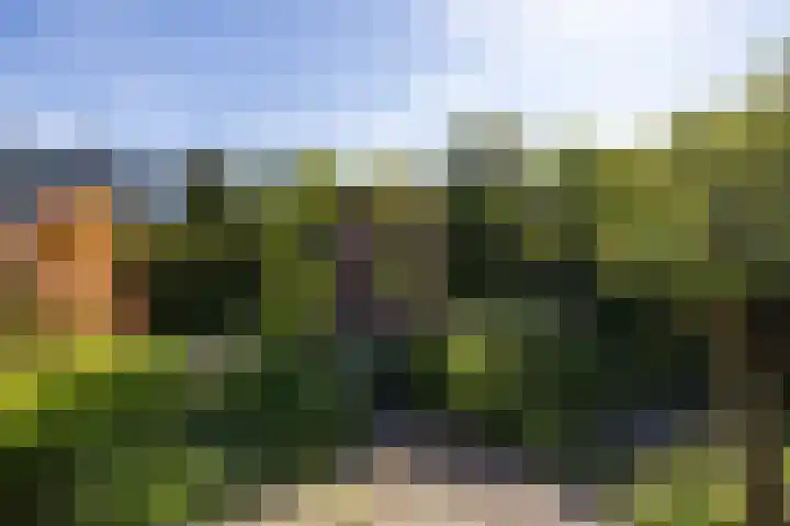 Molenlaan 109 Rotterdam thumbnail 14