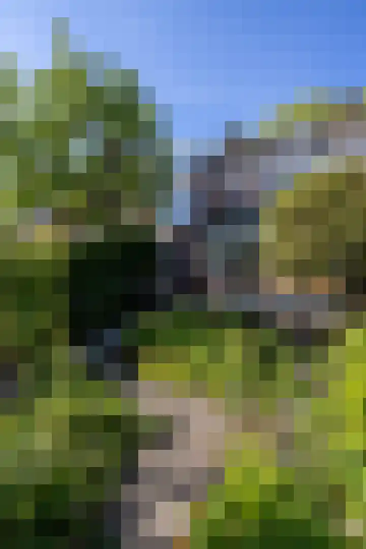 Molenlaan 109 Rotterdam thumbnail 16