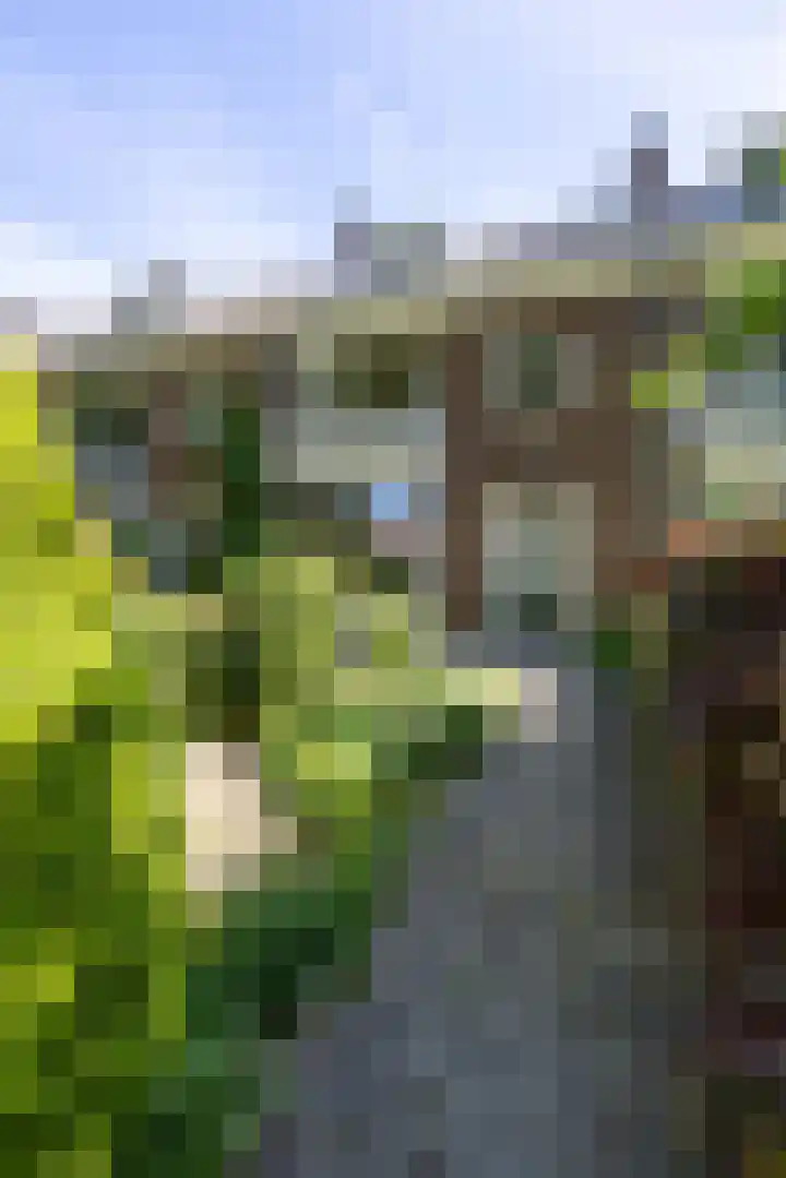 Molenlaan 109 Rotterdam thumbnail 26