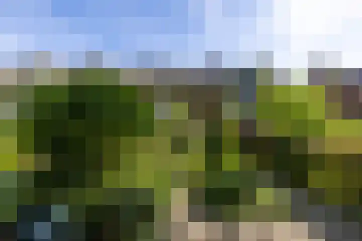 Molenlaan 109 Rotterdam thumbnail 28