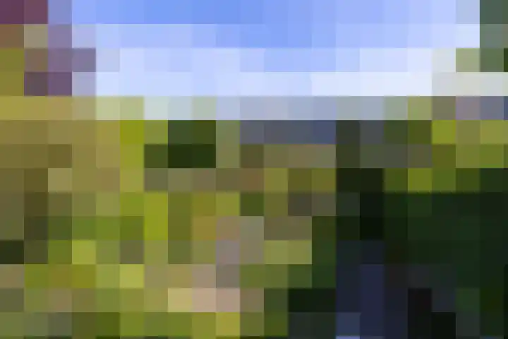 Molenlaan 109 Rotterdam thumbnail 5