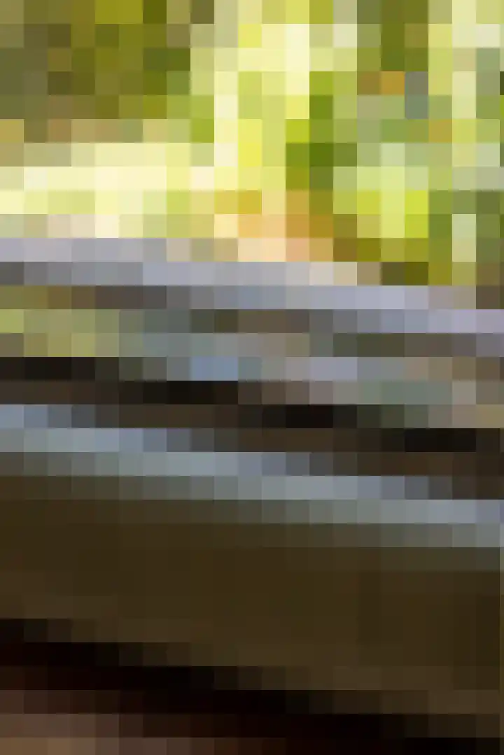 Molenlaan 109 Rotterdam thumbnail 7