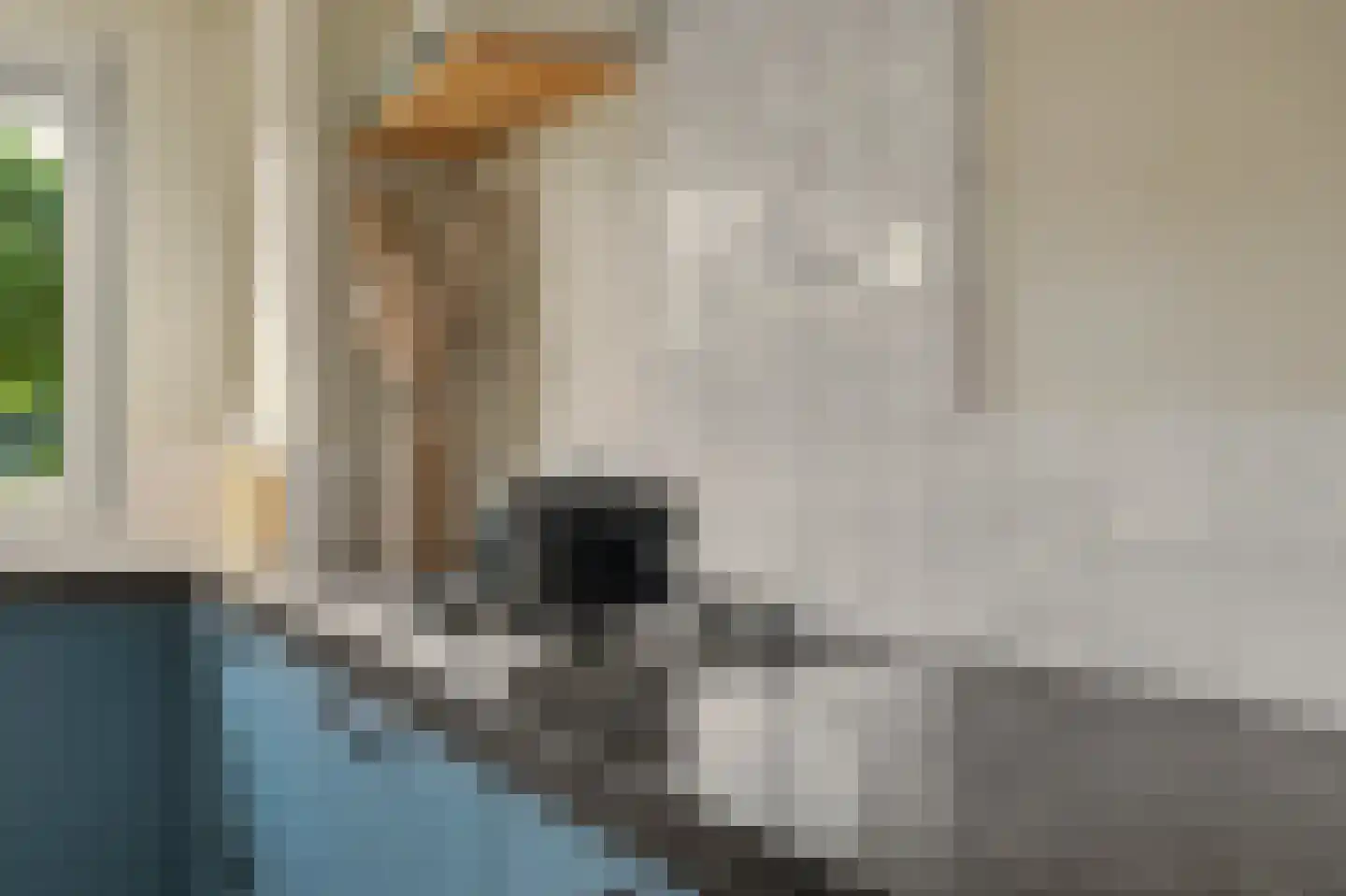Molenlaan 11 Yerseke thumbnail 16