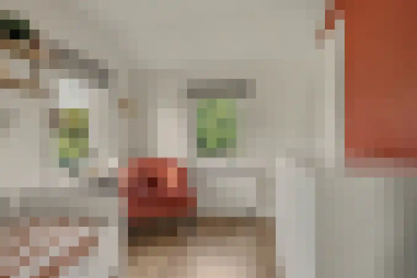 Molenlaan 11 Yerseke thumbnail 20