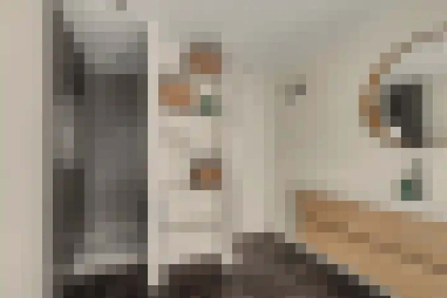 Molenlaan 11 Yerseke thumbnail 6