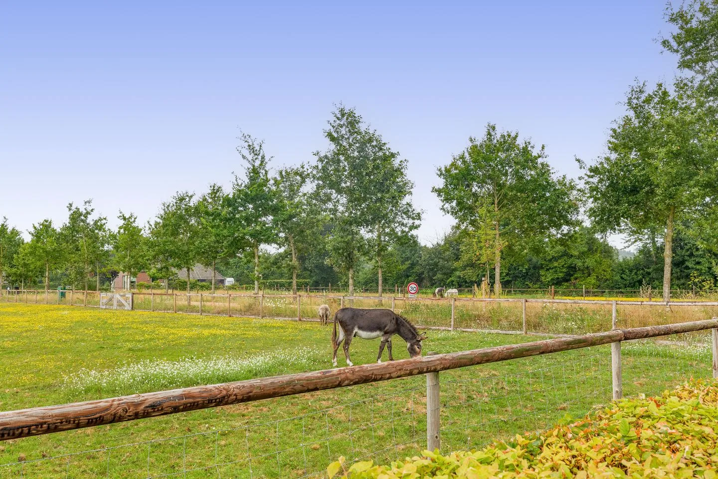 Molenlaan 12 Frederiksoord thumbnail 52