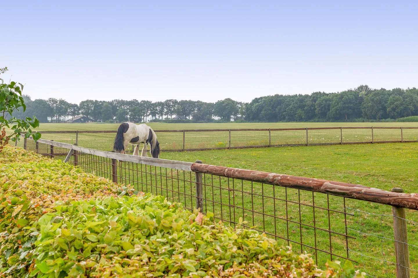 Molenlaan 12 Frederiksoord thumbnail 53