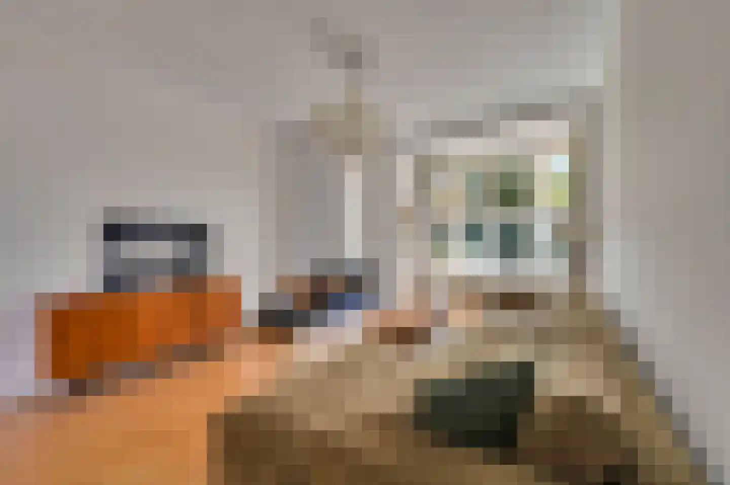 Molenlaan 12 Rijswijk thumbnail 12