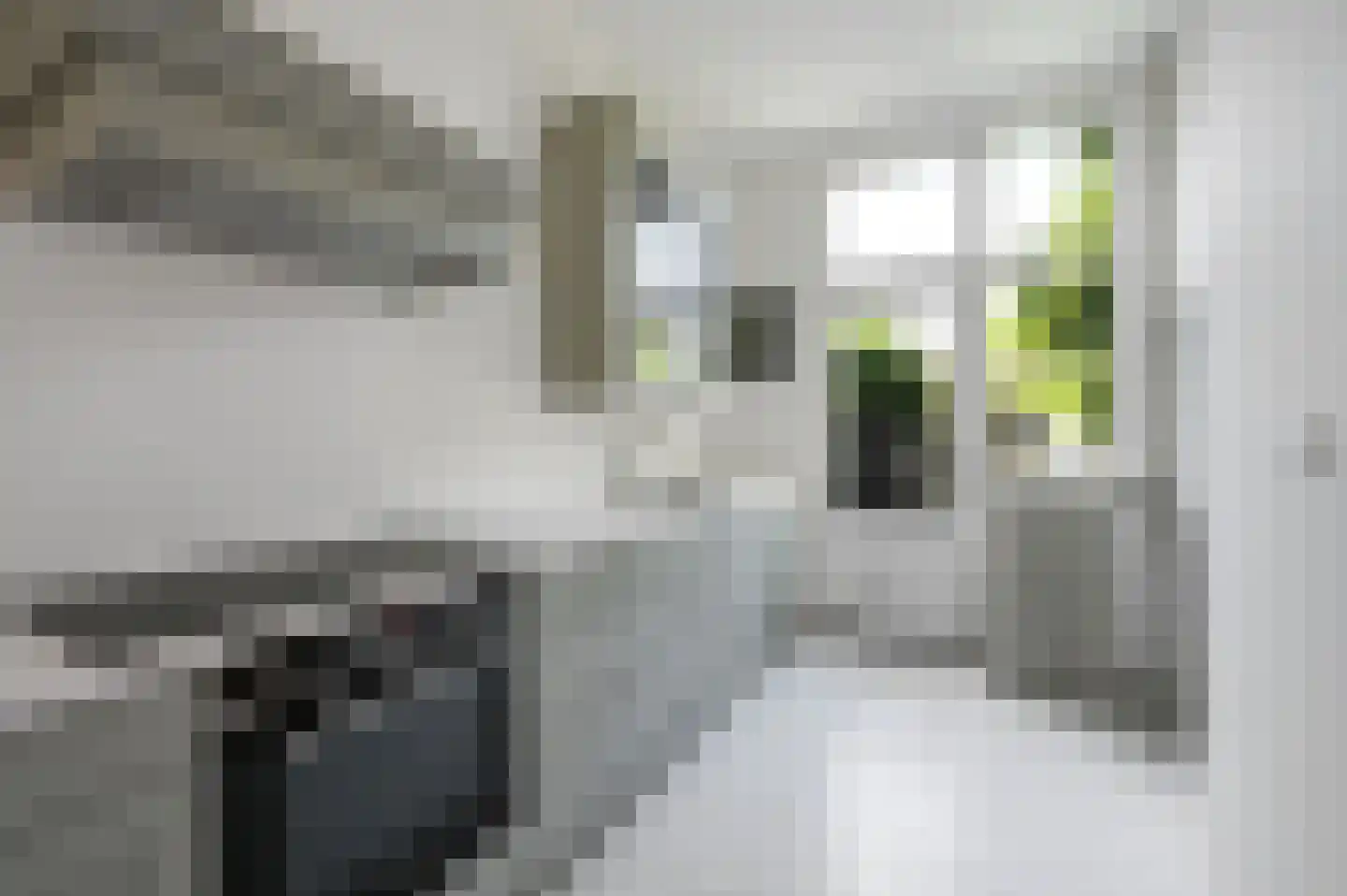 Molenlaan 12 Rijswijk thumbnail 18