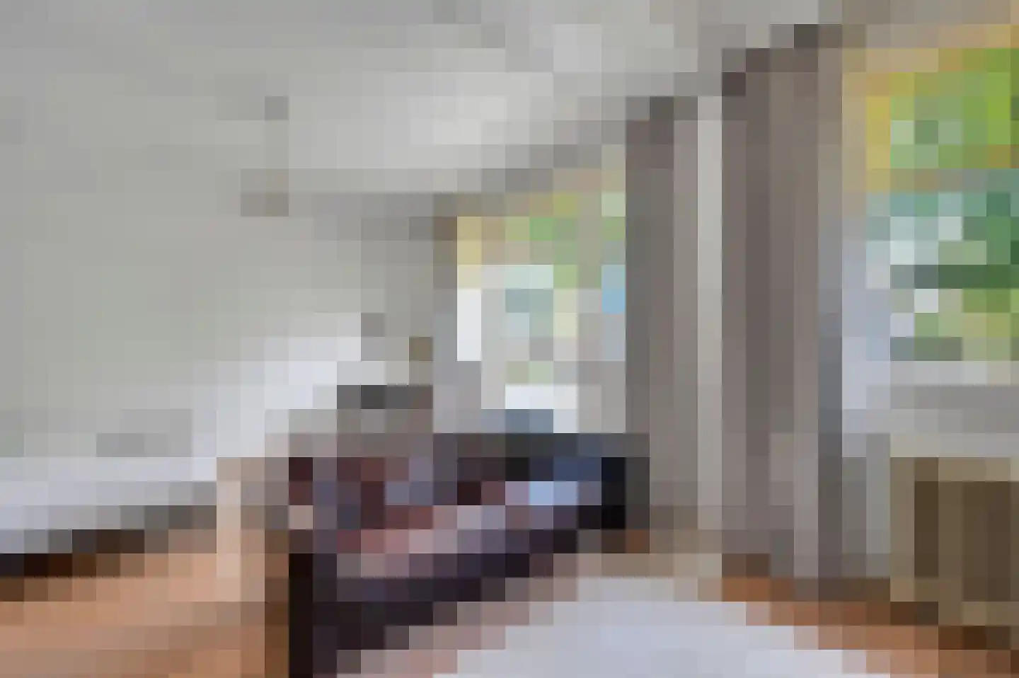 Molenlaan 12 Rijswijk thumbnail 27