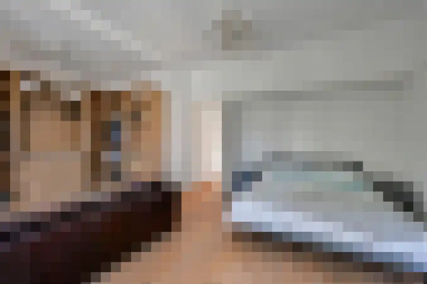 Molenlaan 12 Rijswijk thumbnail 29