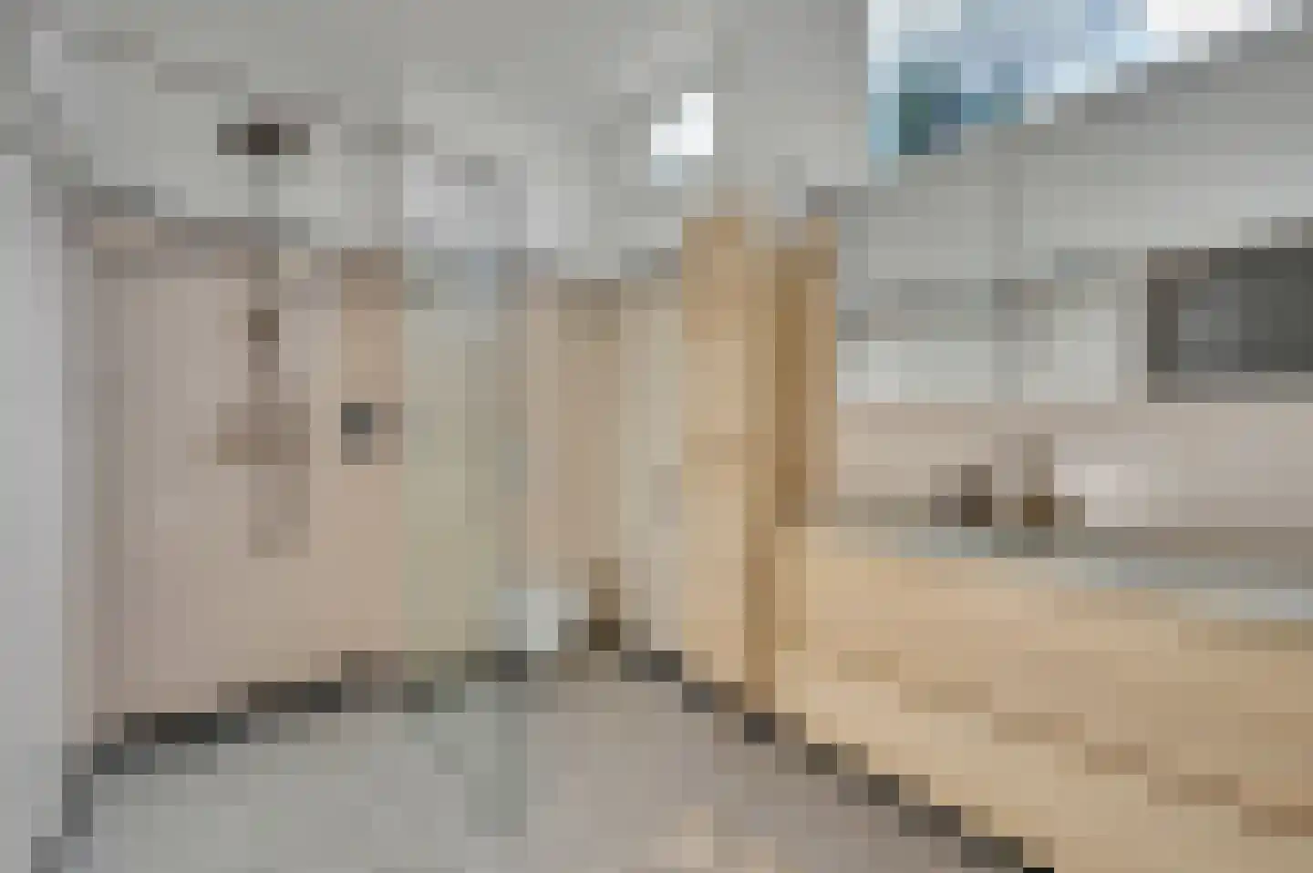 Molenlaan 12 Rijswijk thumbnail 31