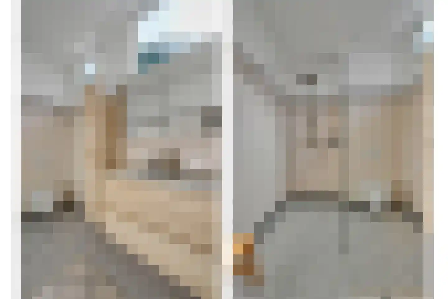 Molenlaan 12 Rijswijk thumbnail 32