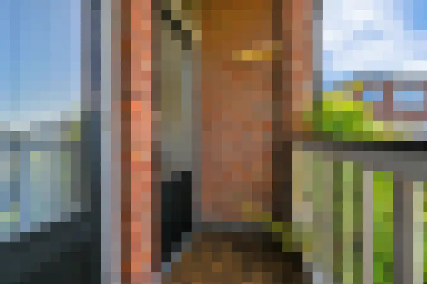Molenlaan 12 Rijswijk thumbnail 39