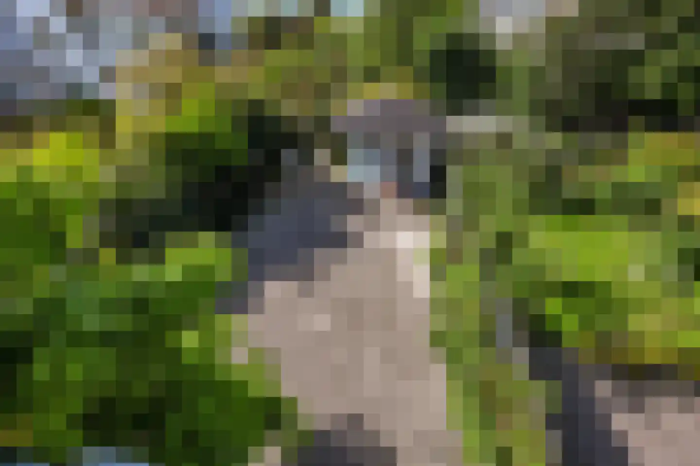 Molenlaan 12 Rijswijk thumbnail 40